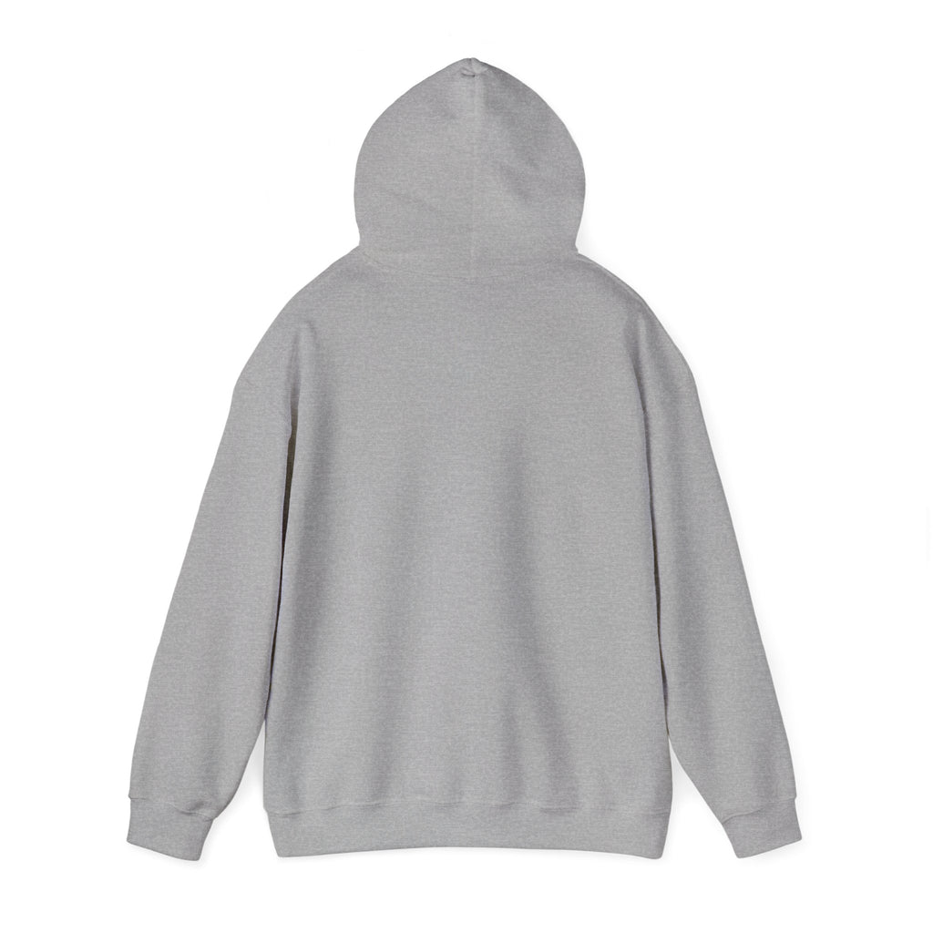 Sweet & Sour Cherry Hoodie —  Cherry Graphic Pullover